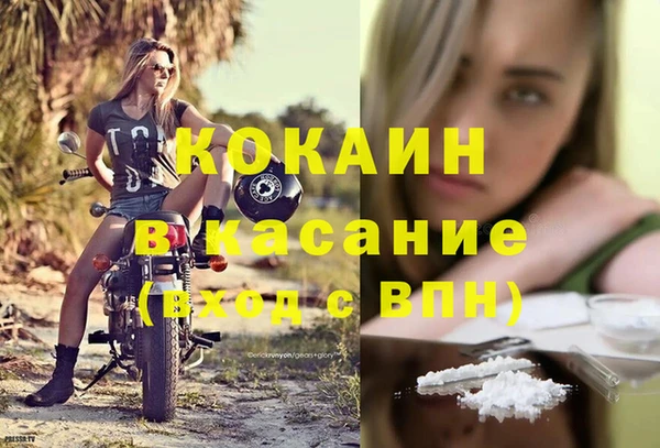шишки Коряжма