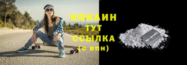 шишки Коряжма