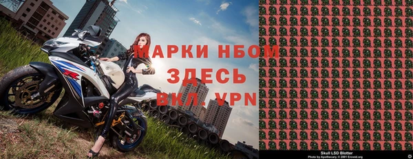 шишки Коряжма