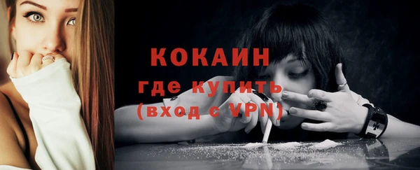 шишки Коряжма