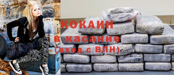 шишки Коряжма