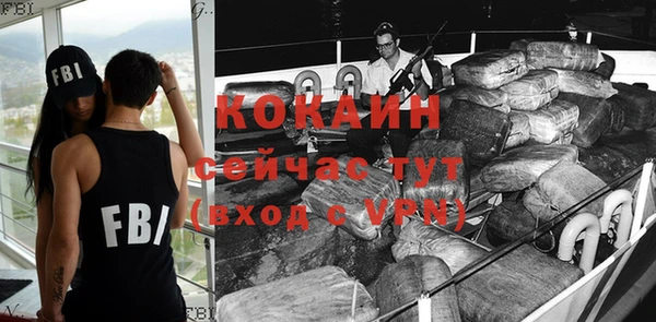 хмурый Корсаков