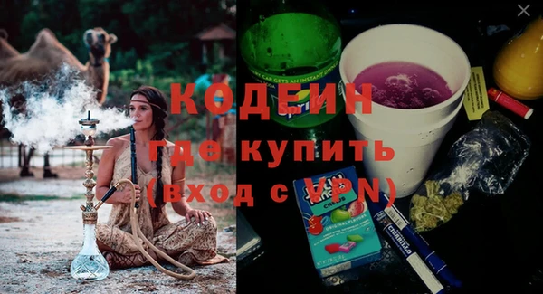 хмурый Корсаков