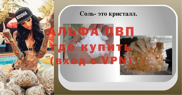 хмурый Корсаков