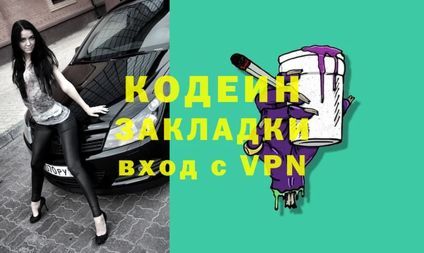 хмурый Корсаков