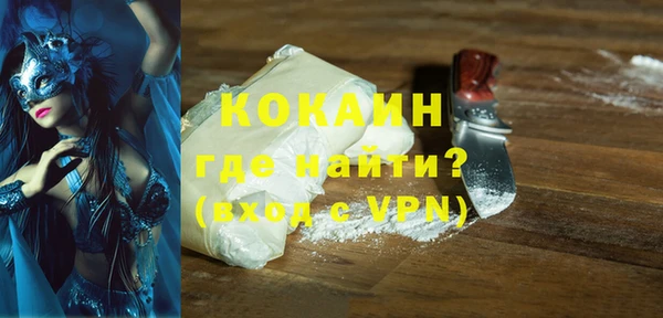 шишки Коряжма