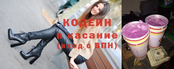хмурый Корсаков