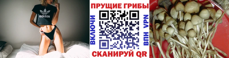 Галлюциногенные грибы прущие грибы  купить   Красновишерск 